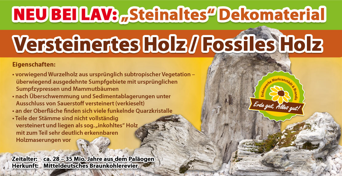 Neu bei LAV: Versteinertes Holz/Fossiles Holz