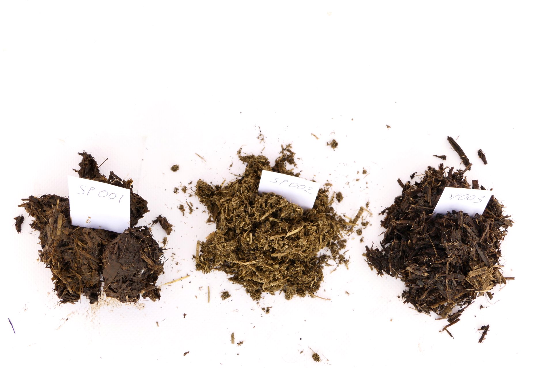 SkalaPro erste Proben