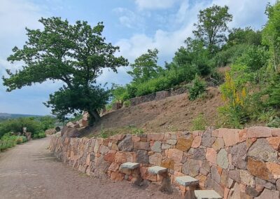 LAV Substrate im Einsatz, Spaltengarten Bergzoo Halle