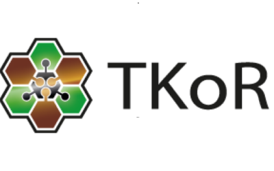 Verbundnetzwerk TKoR