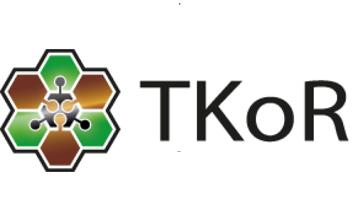 Verbundnetzwerk TKoR