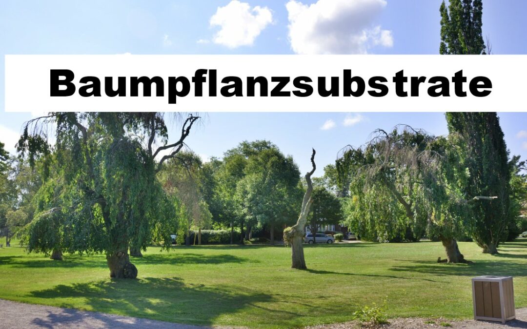 Baumpflanzsubstrat-Robinie-100575