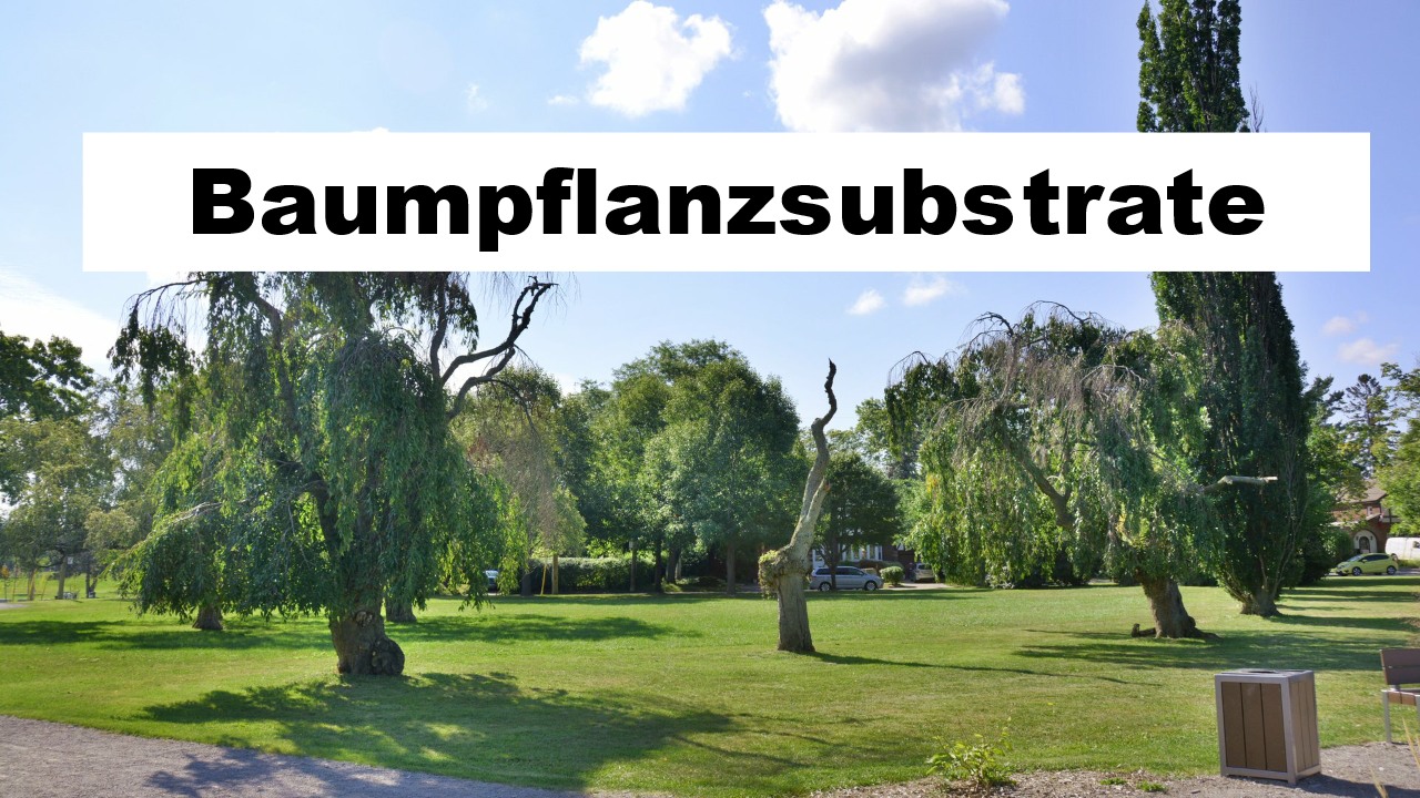 Baumpflanzsubstrate