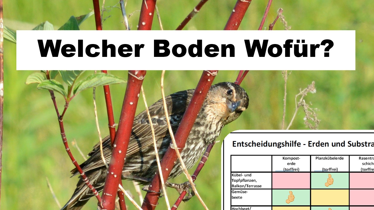 Welcher Boden Wofür