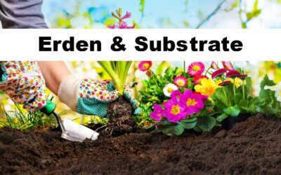 FLL Schotterrasen 100123