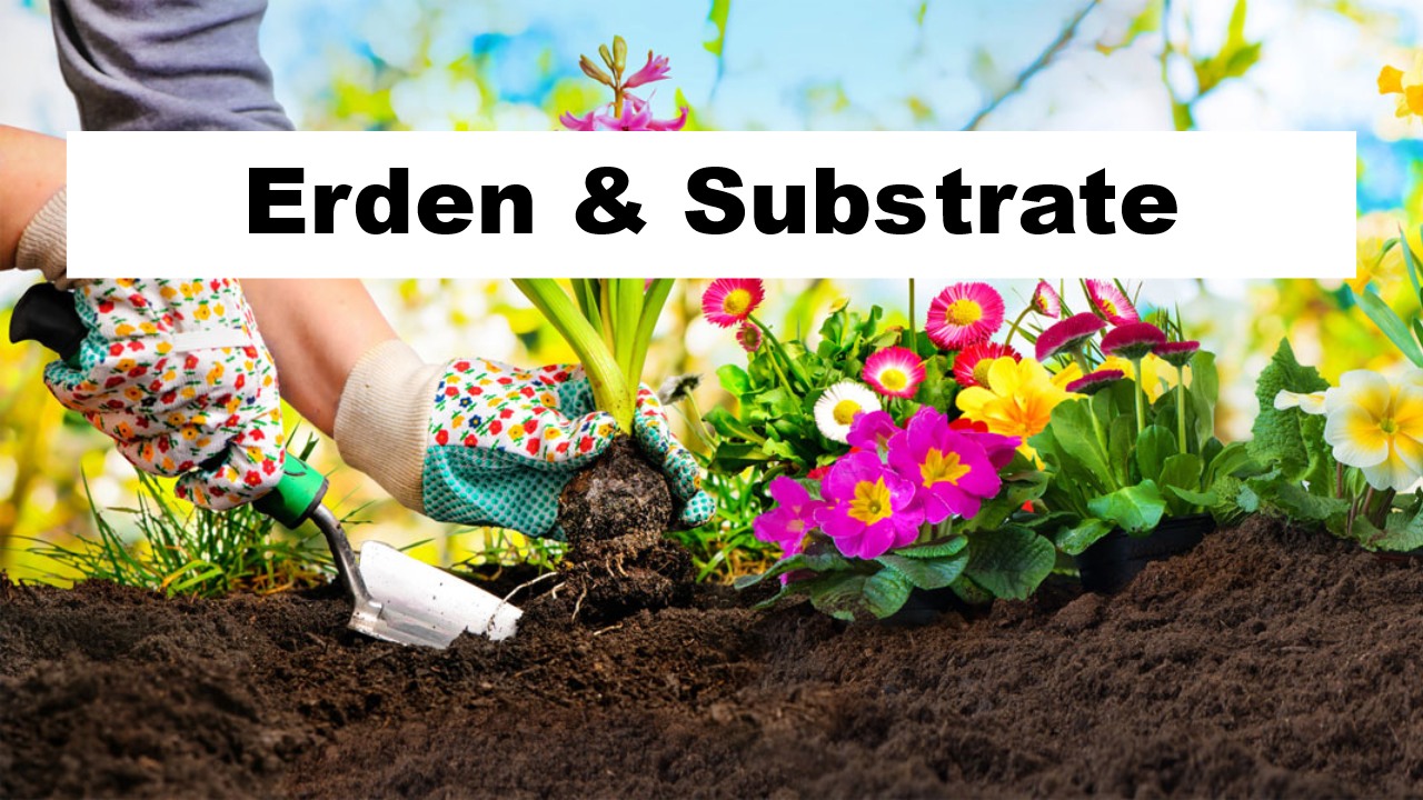 Erden & Substrate