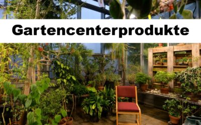 Kaminholz-Birke-180909