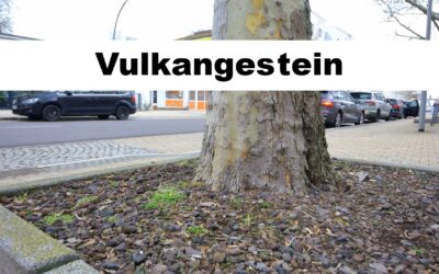 Waschbims-100570