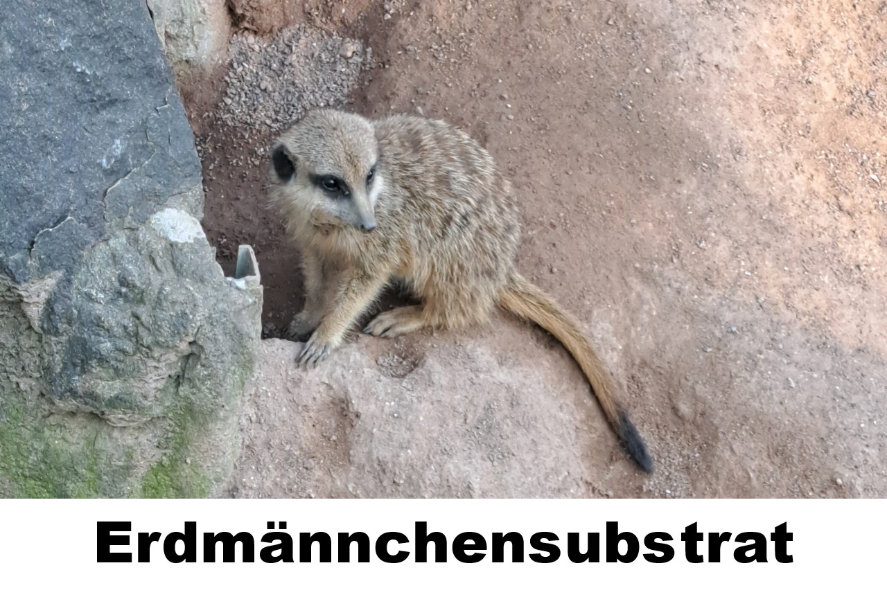 P Erdmännchensubstrat Erdmännchensubstrat