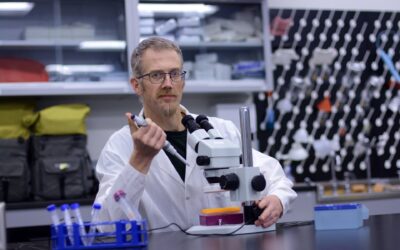 MINT-Fachkräftebindung 2025