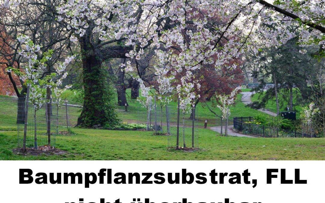 FLL Baumpflanzgrube 1 nicht überbaubar 100197
