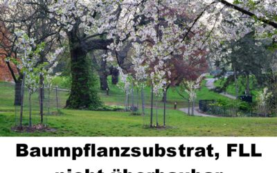 FLL Baumpflanzgrube 1 nicht überbaubar 100197