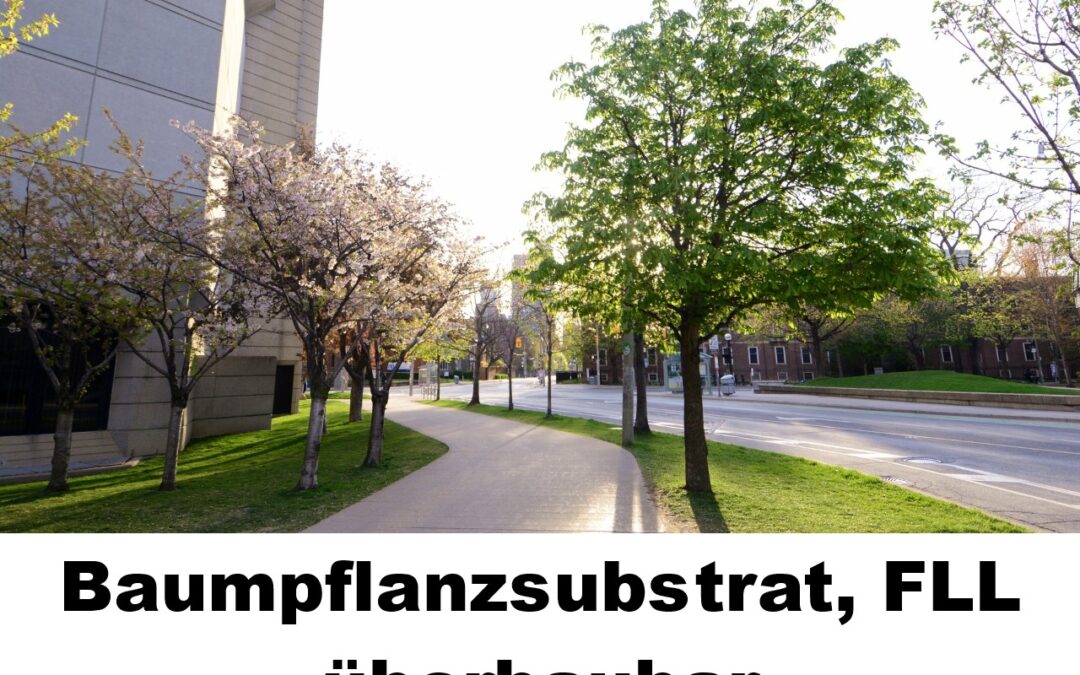 FLL Baumpflanzgrube 2 überbaubar 100196