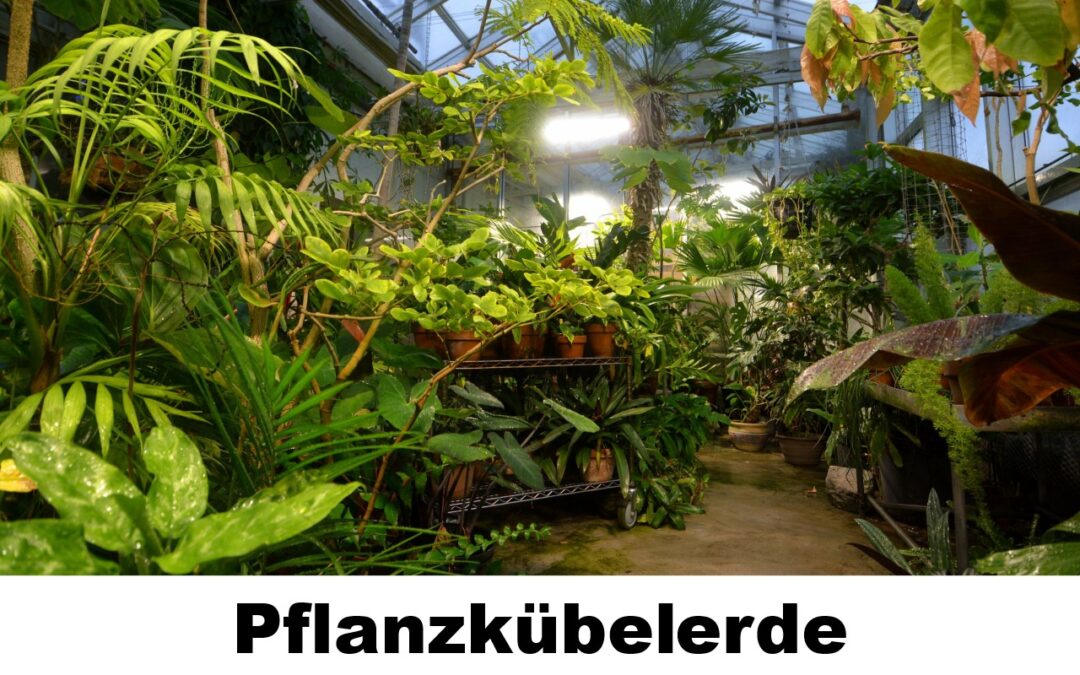 Pflanzkübelerde-100500