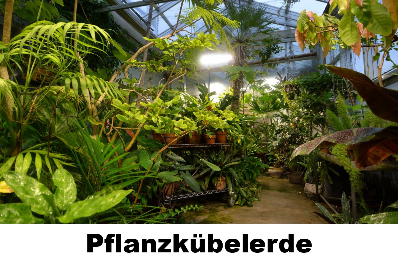 Pflanzkübelerde