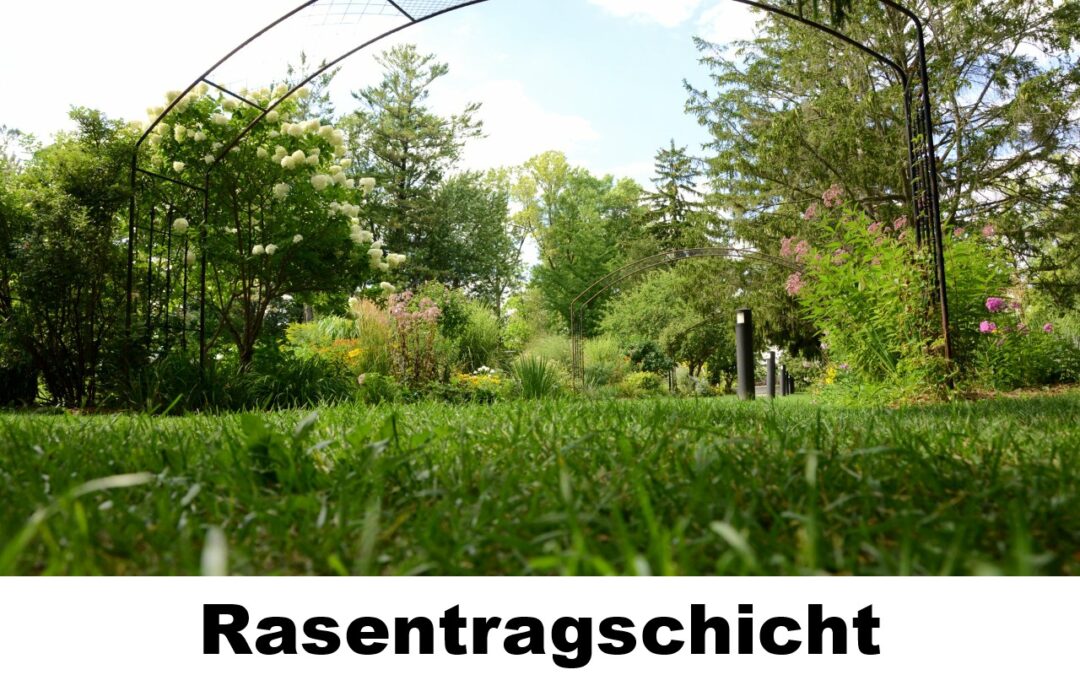 Rasentragschicht-100105