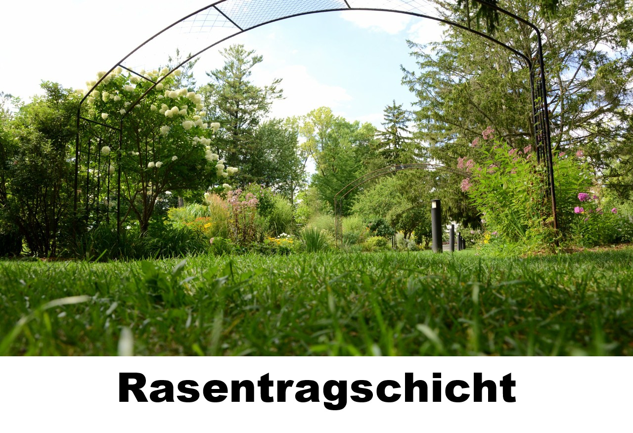 Rasentragschicht