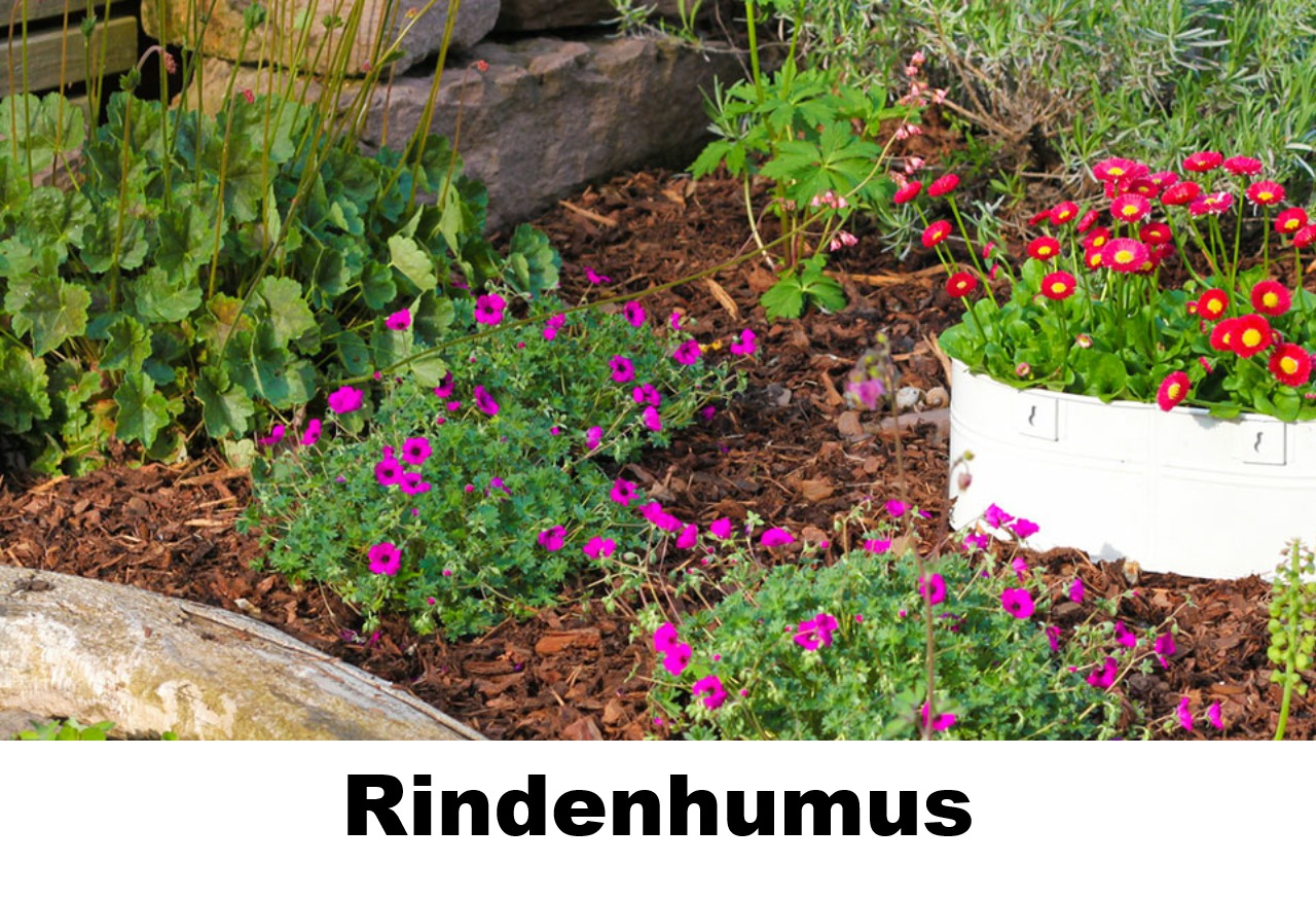 Rindenhumus