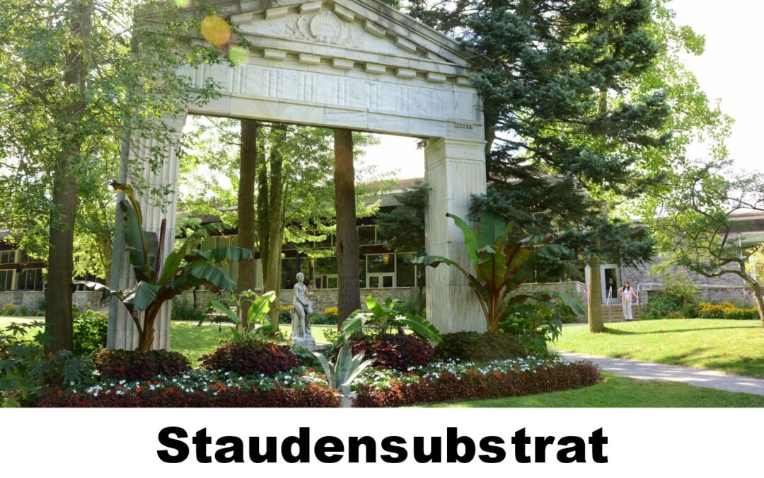 Staudensubstrat 100136