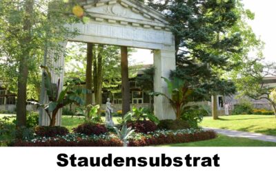 Staudensubstrat 100136