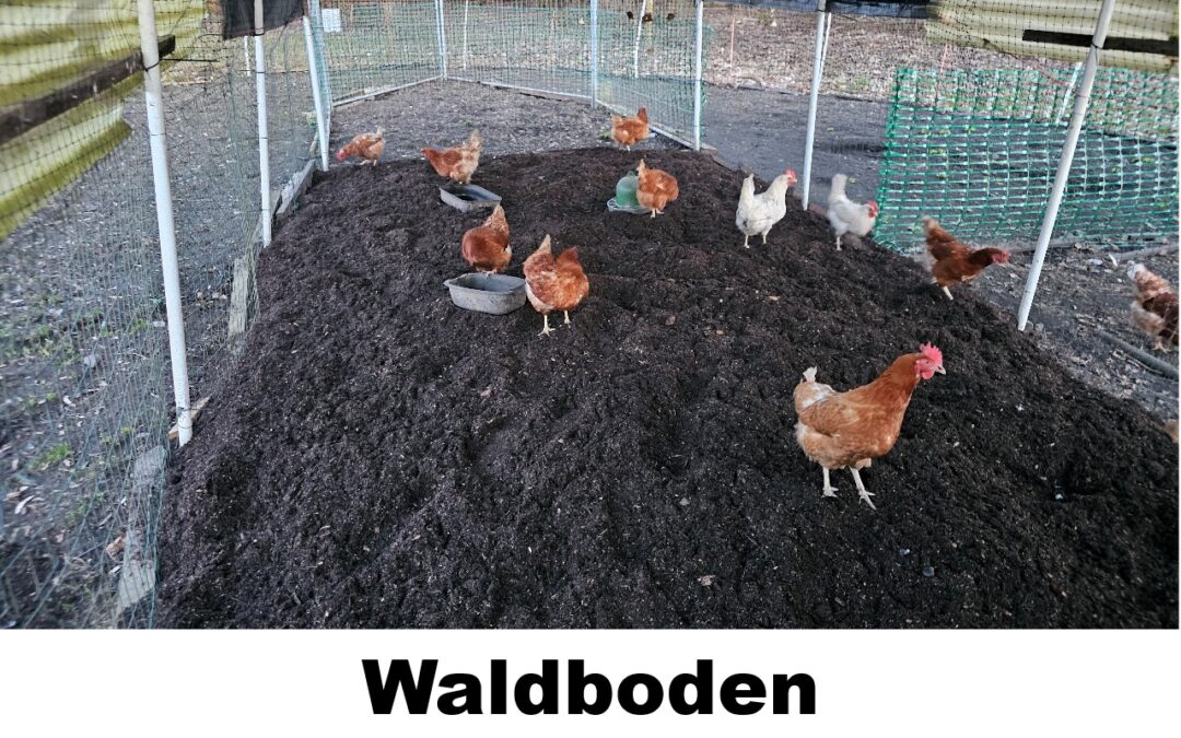 Waldboden