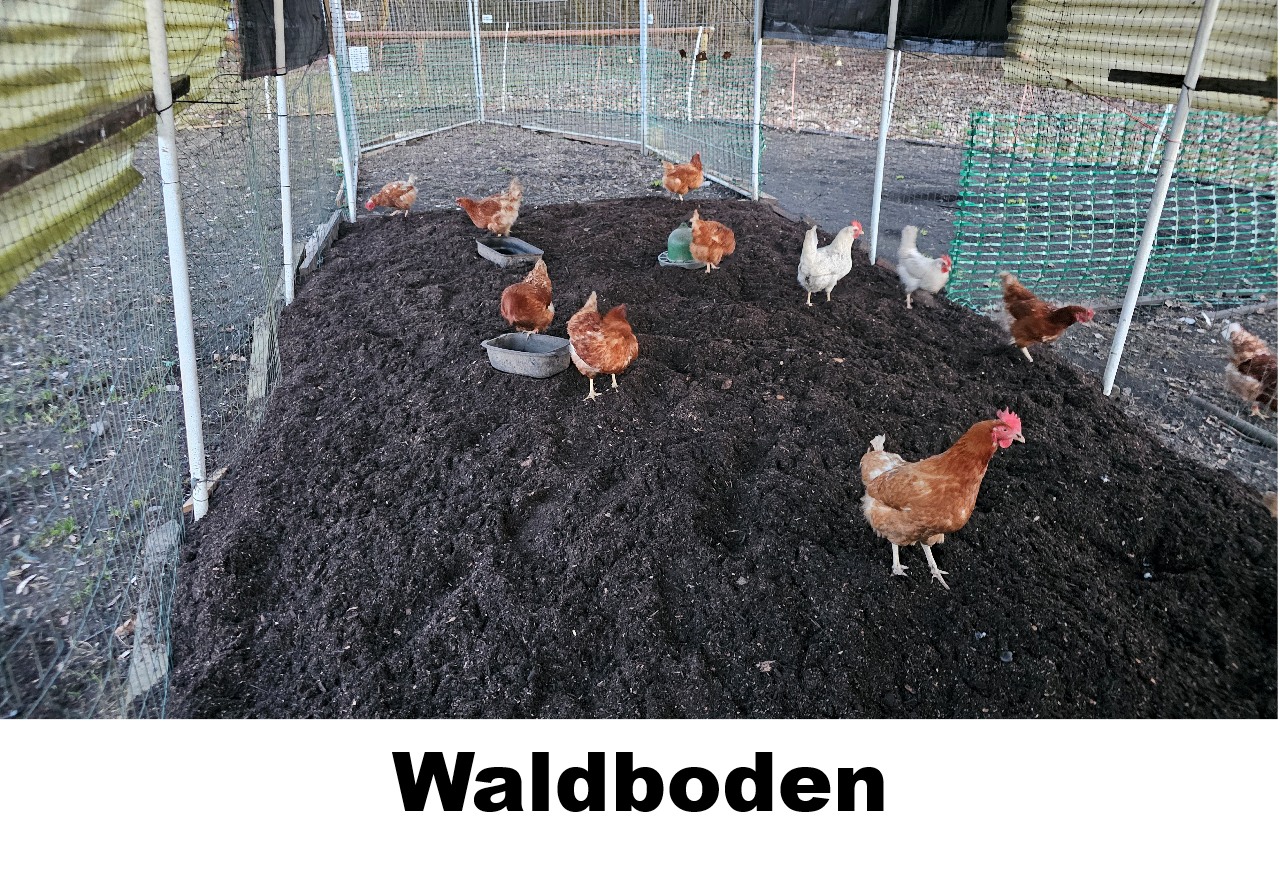 Waldboden für Kleintiere und Pferde