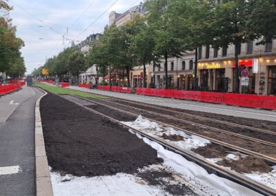 Einbau Gleisbett-Rasensubstrat in Leipzig