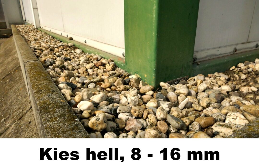 Kies-hell-8-16-130006