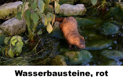 Wasserbausteine-rot-150743
