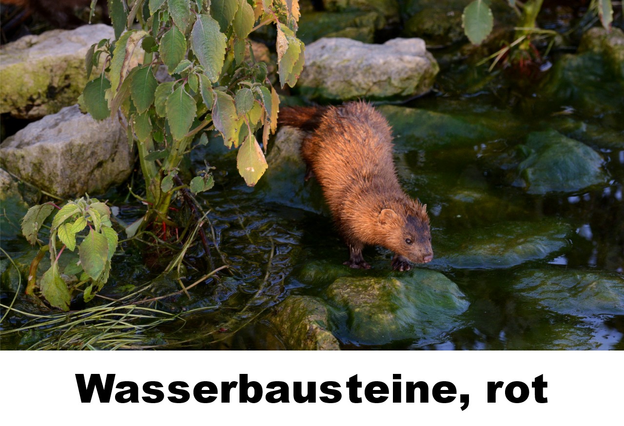 Wasserbausteine rot