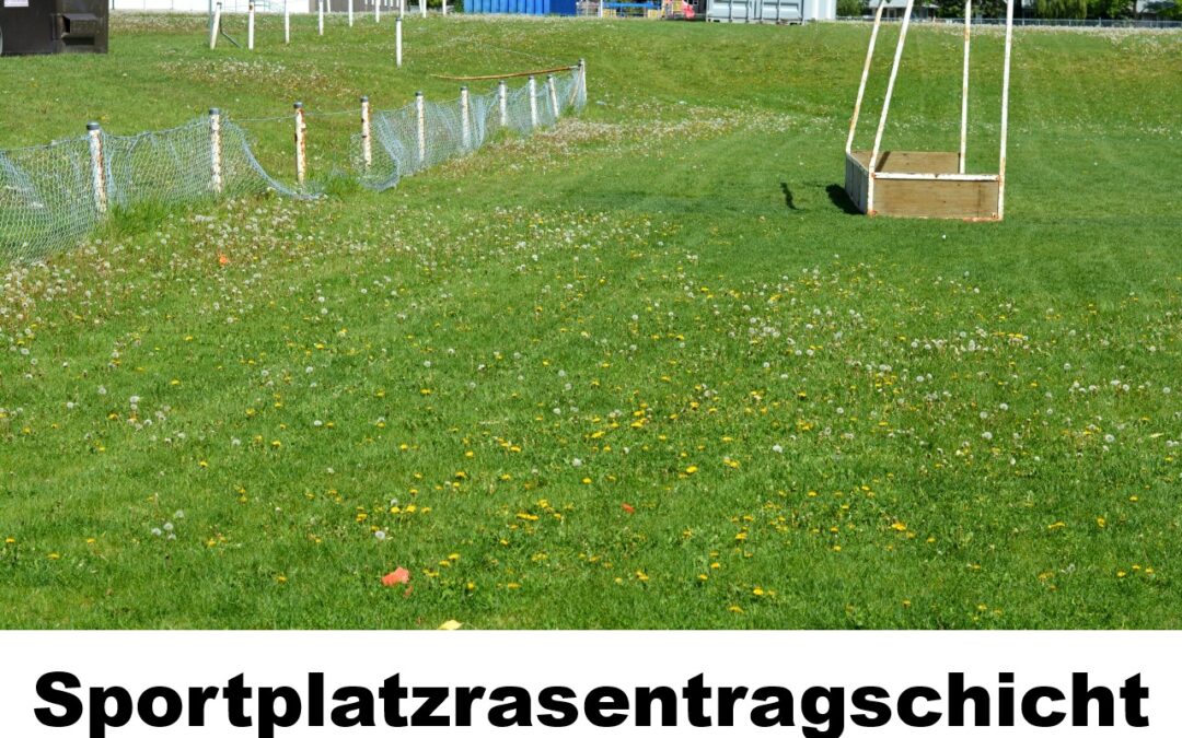 Sportplatzrasentragschicht-100114