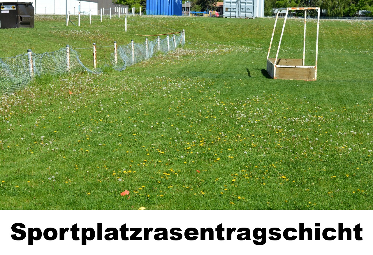 Sportplatzrasentragschicht