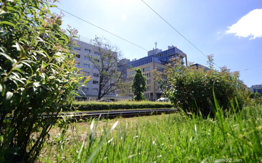 Erfolge – Leipzig Stadtbegrünung