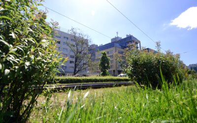 Erfolge – Leipzig Stadtbegrünung