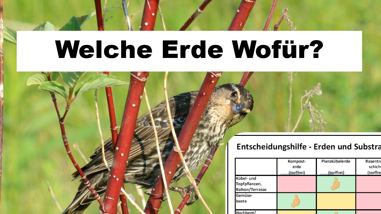 Kategorie Entscheidungsmatrix