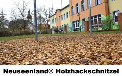 Holzhackschnitzel 180910