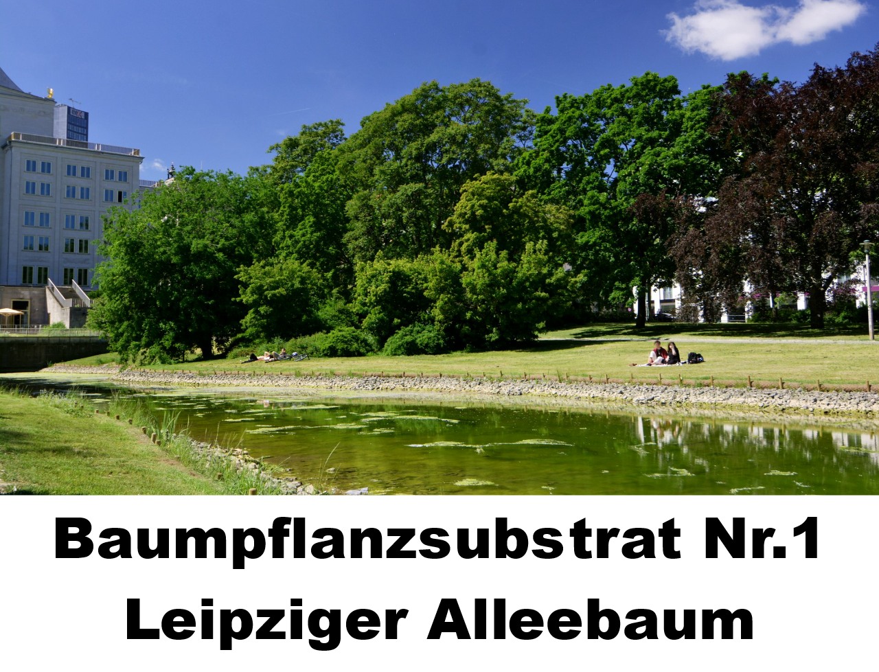 Baumpflanzsubstrat Nr 1 Leipziger Alleebaum