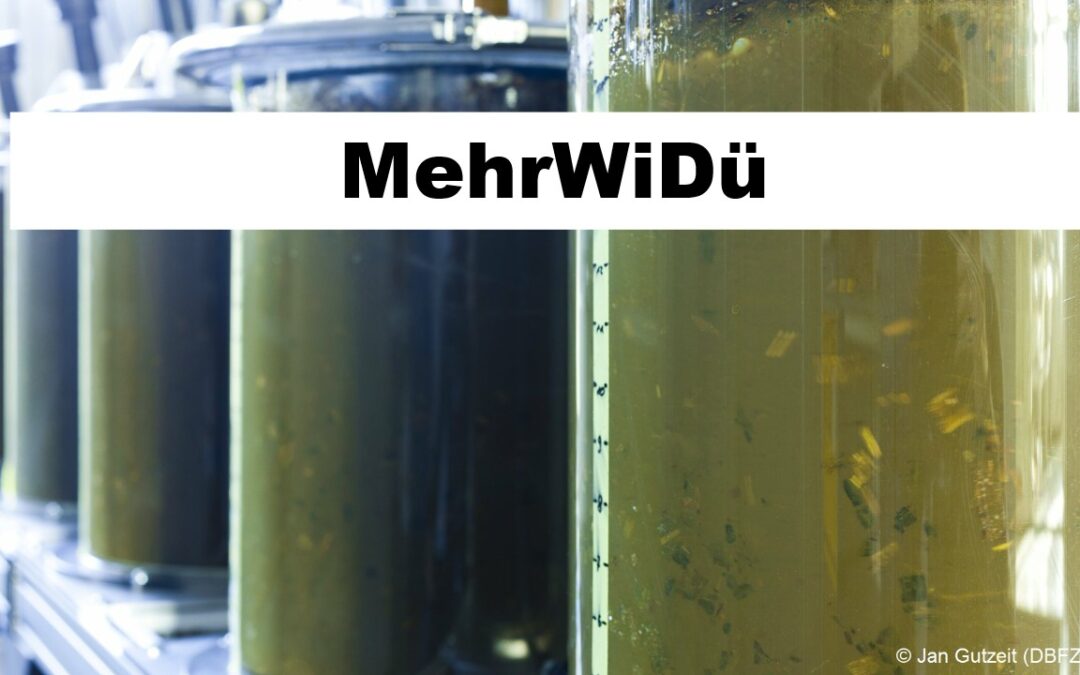 MehrWiDü