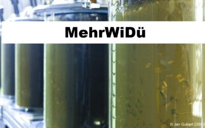 MehrWiDü