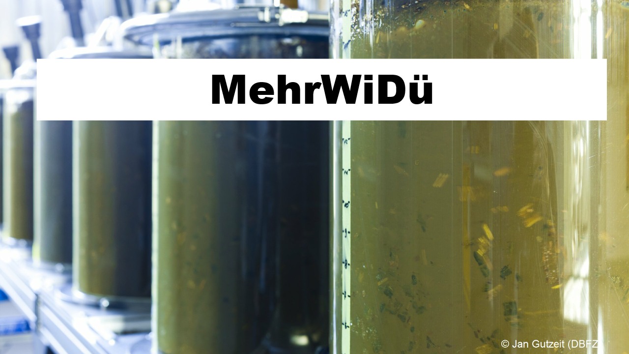 P MehrWiDü MehrWiDü