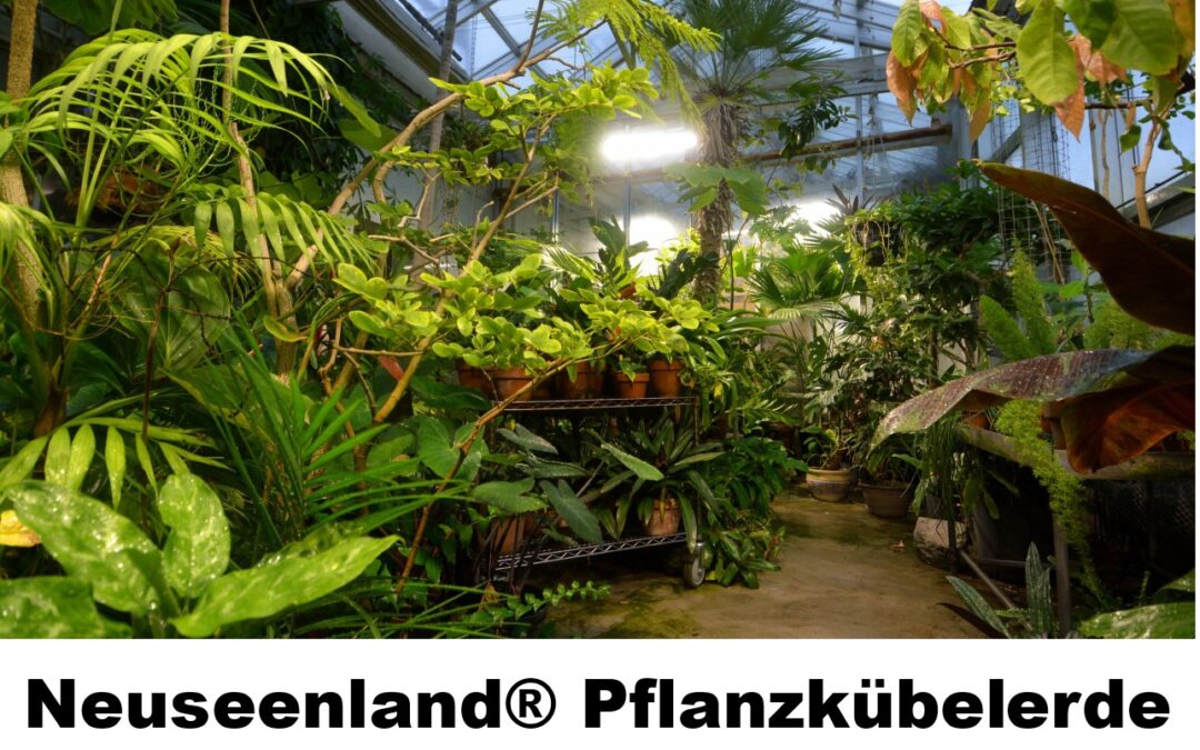 Pflanzkübelerde-100500