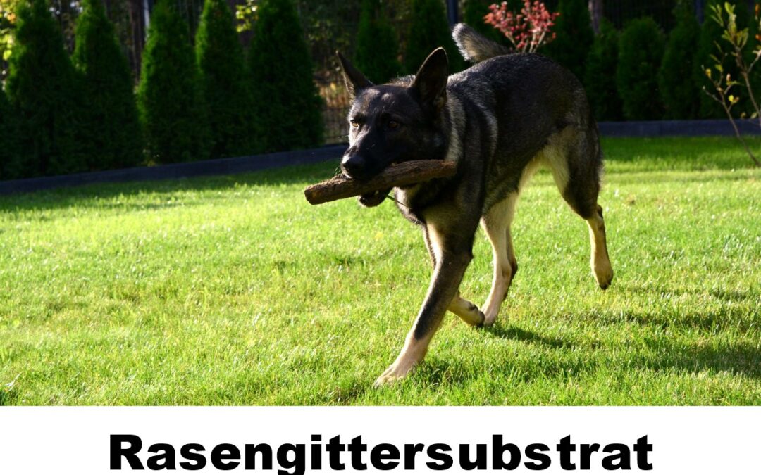 Rasengittersubstrat-100118