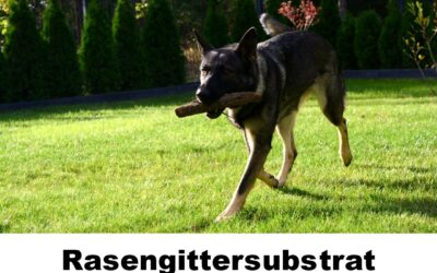 Rasengittersubstrat-100118