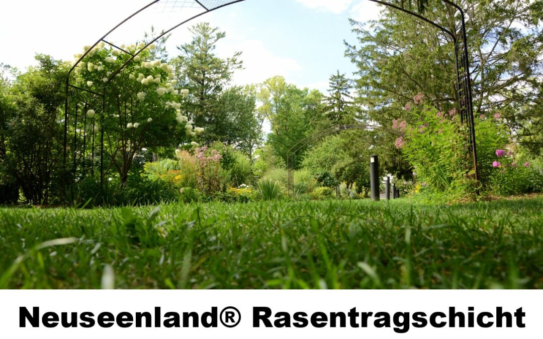 Rasentragschicht-100105
