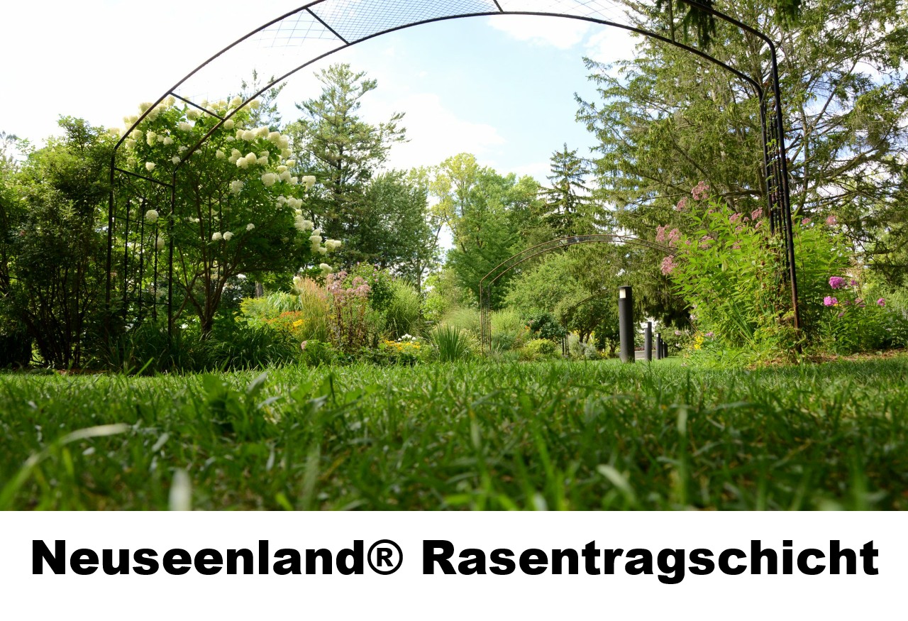 Rasentragschicht