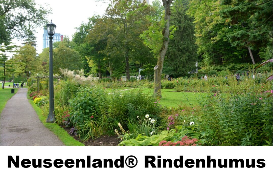 Rindenhumus-200586