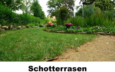 FLL Schotterrasen 100123