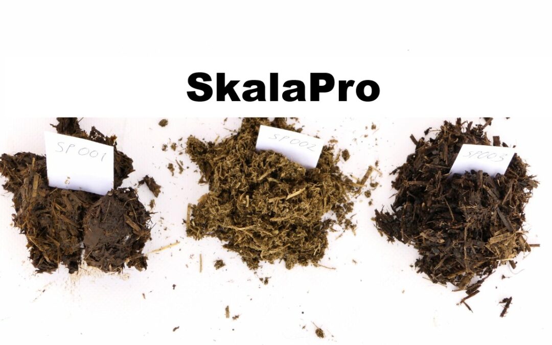 SkalaPro