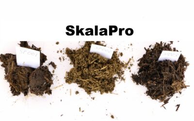 SkalaPro
