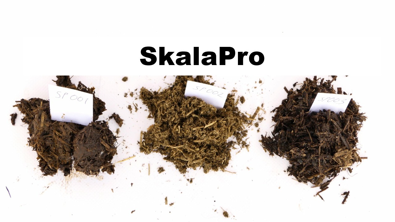 P SkalaPro SkalaPro